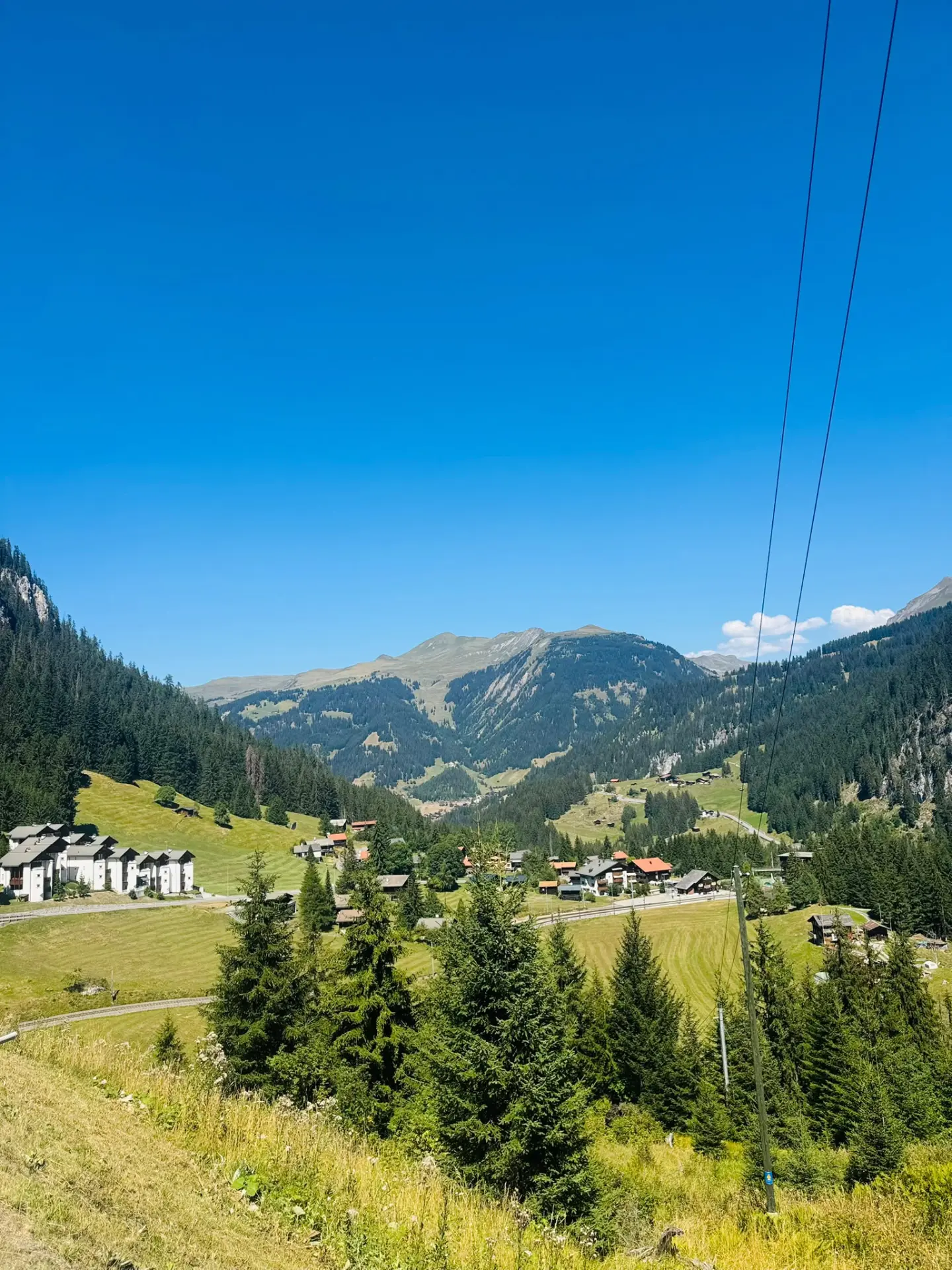 Alpine valley with pine forest and mountains near Arosa, Switzerland
